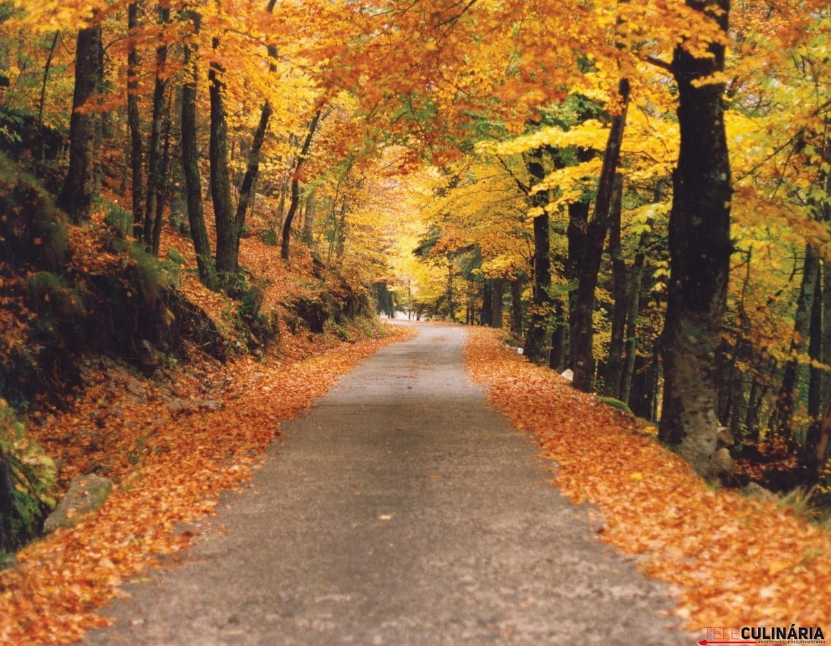 Foto Manteigas (Custom)