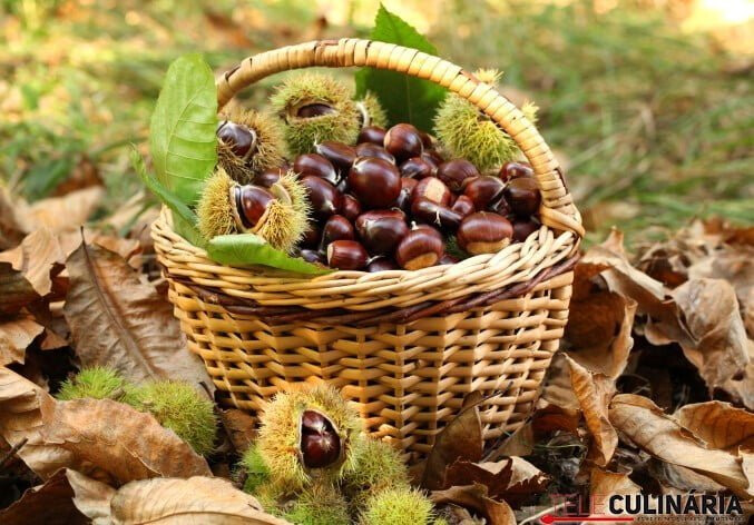 Ingrediente Rei – CASTANHA
