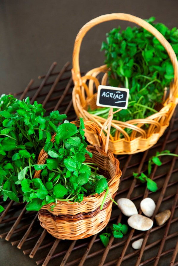 Ingrediente Rei – AGRIÃO