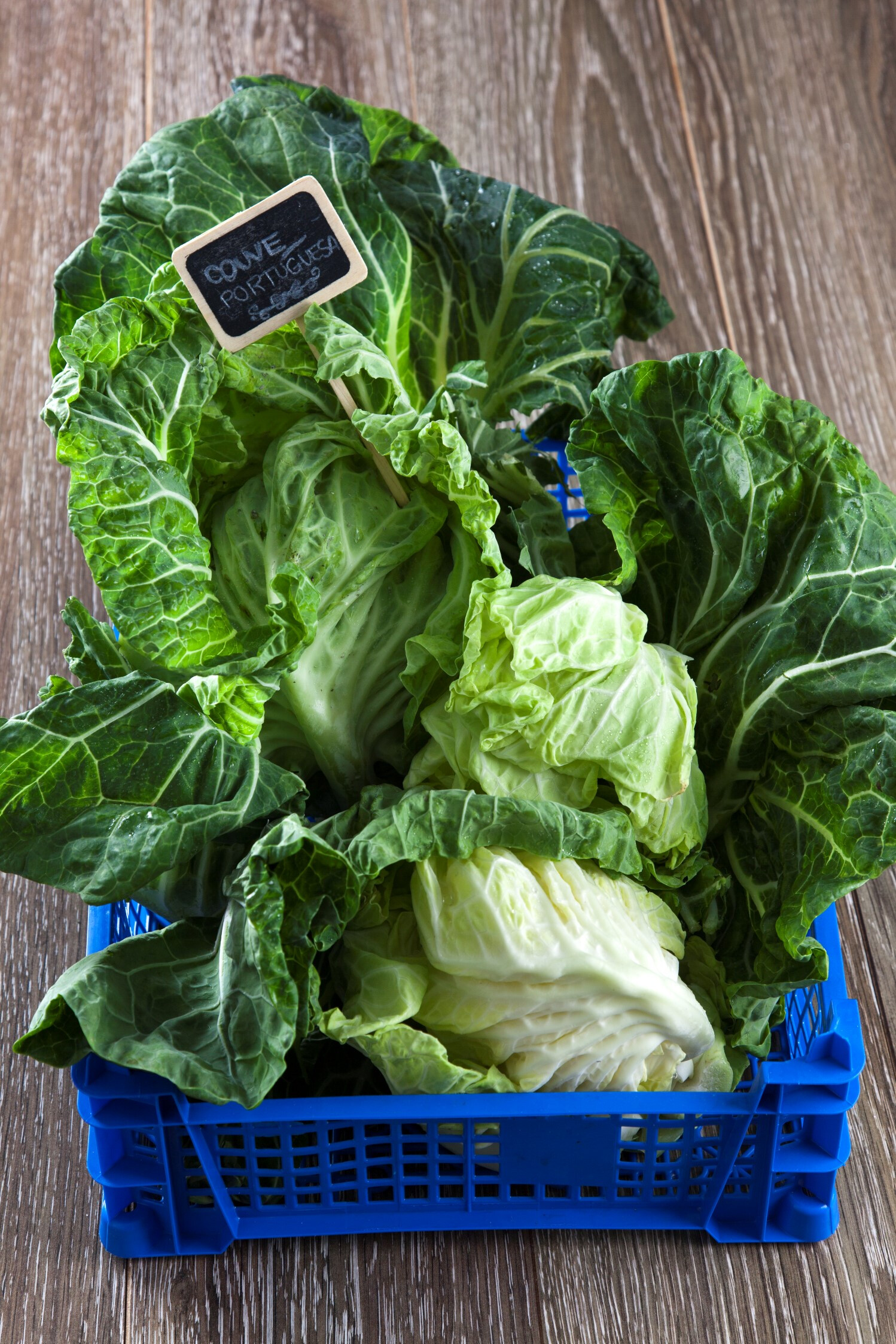 Ingrediente Rei – COUVE PORTUGUESA