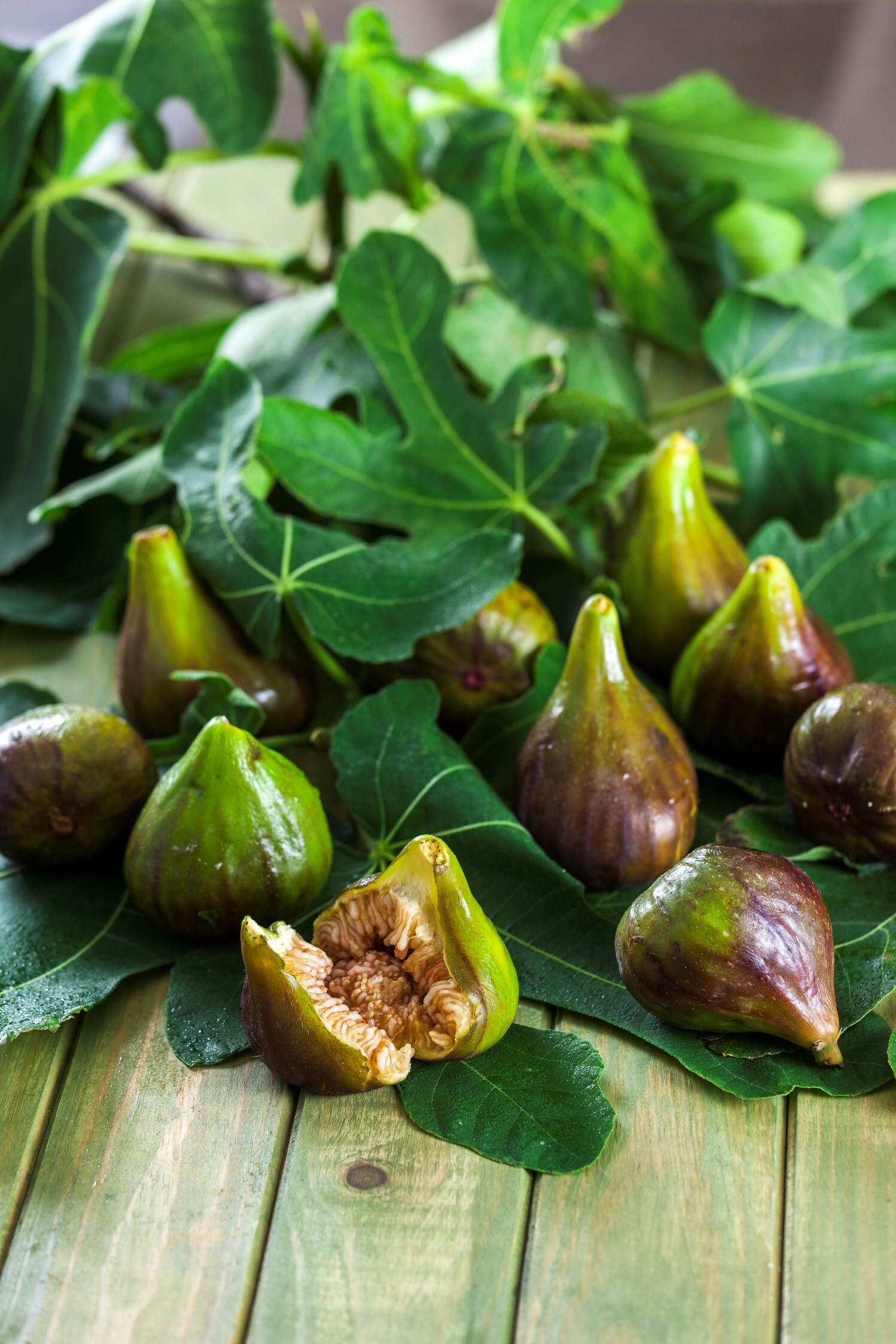 Ingrediente Rei – FIGO