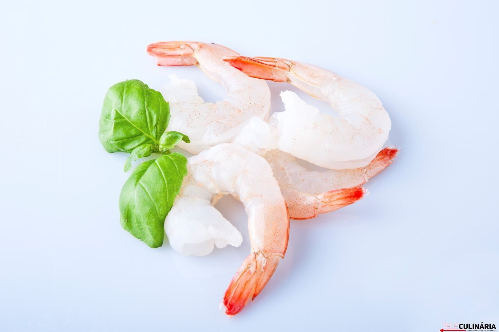 Ingrediente Rei – CAMARÃO