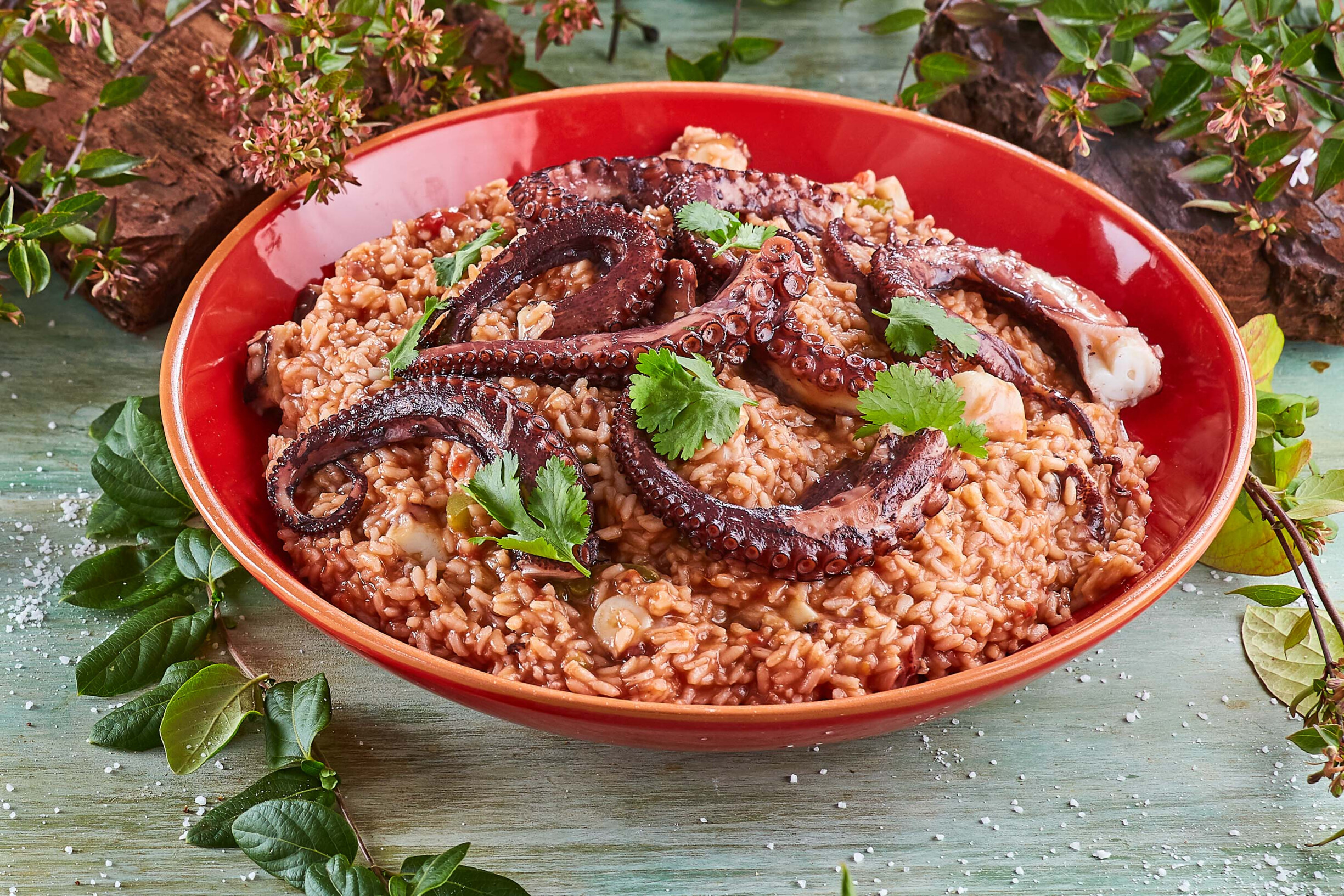 Arroz de polvo à moda do Chef