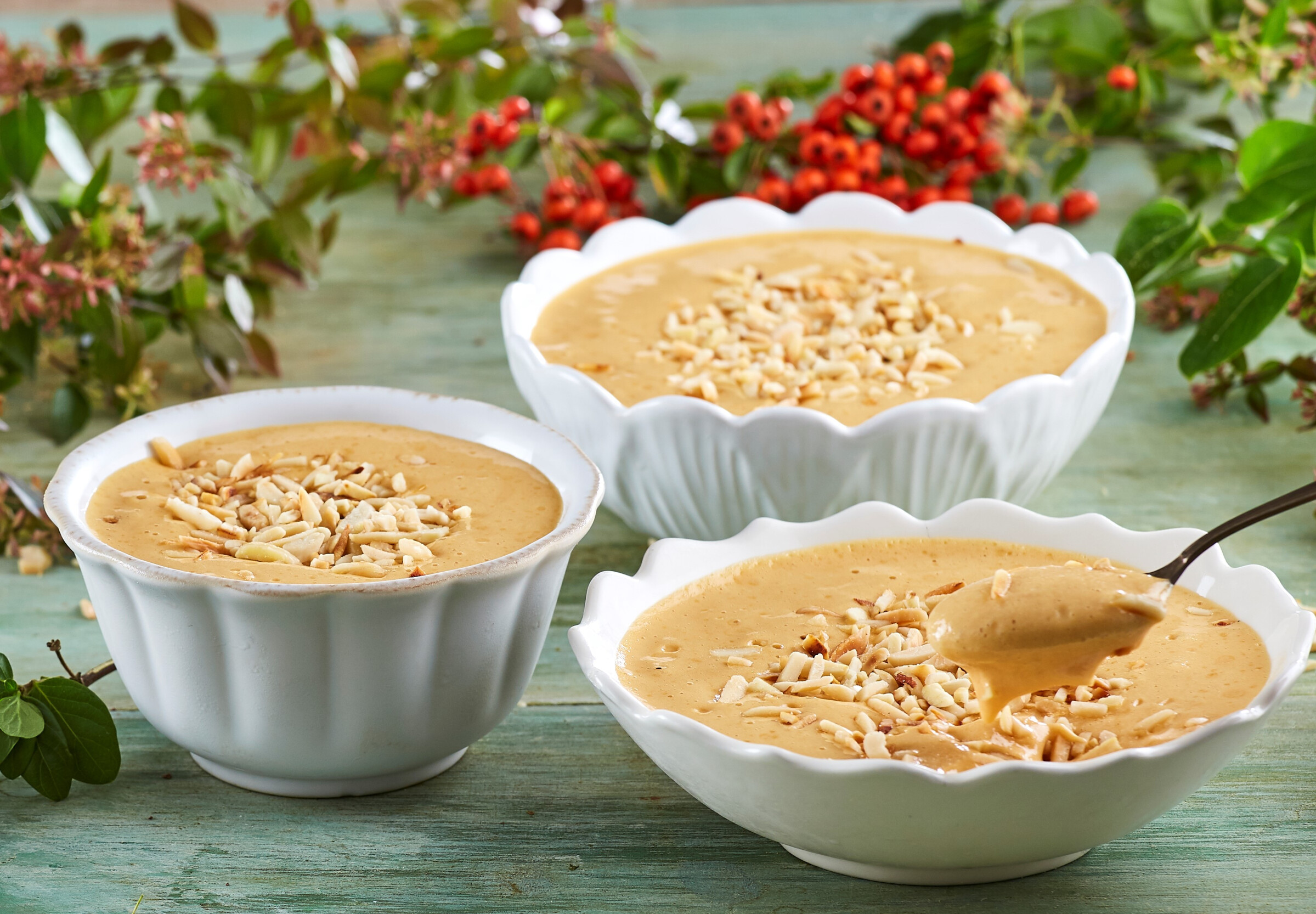 Baba de Camelo - Vídeo